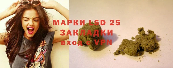 ECSTASY Горняк