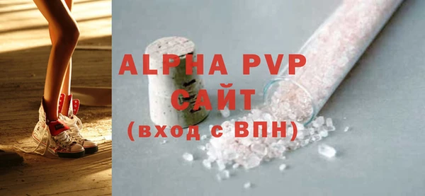 ECSTASY Горняк