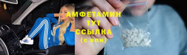 ECSTASY Горняк