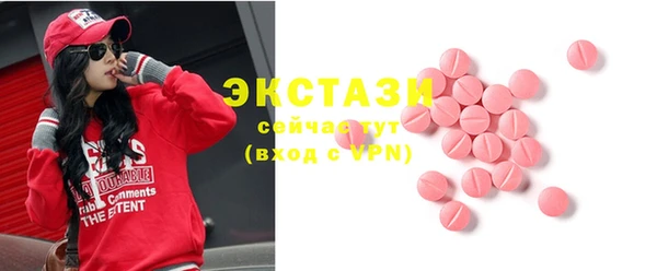 ECSTASY Горняк