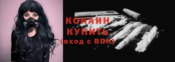 ECSTASY Горняк