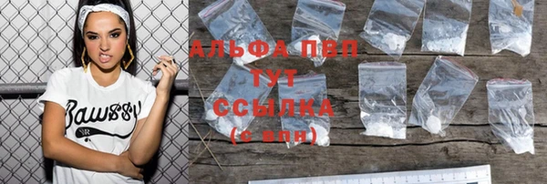ECSTASY Горняк