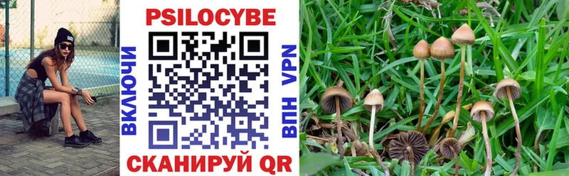 Галлюциногенные грибы MAGIC MUSHROOMS  купить  сайты  Нижнекамск 